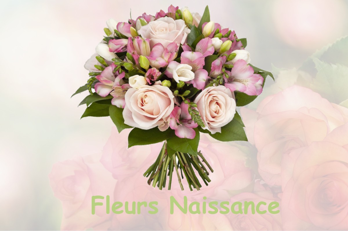 fleurs naissance CASTELNAU-DE-GUERS